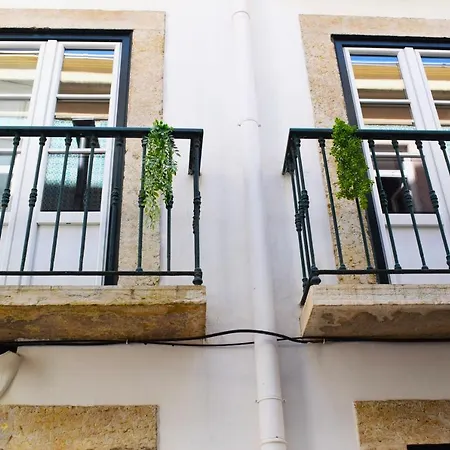 Apartment Colmeia